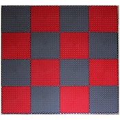 garage-flooring-coin-dot-interlocking-tiles-pvc-il-dt-rg-1