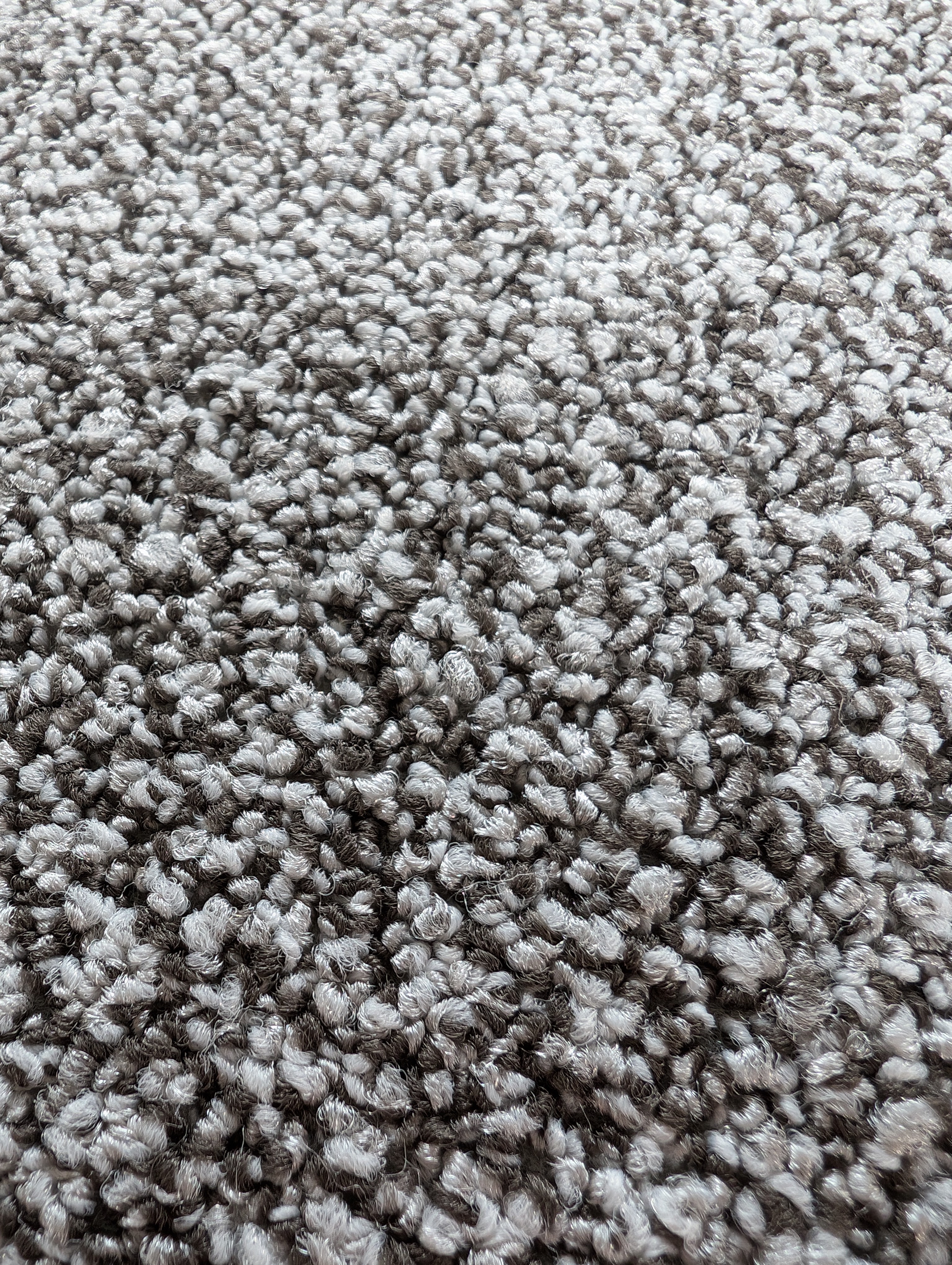  clearance-lines-and-weekly-specials-video product-details ONTERA-2201-64.11sqm-46cm-X-46cm-CARPET-TILE-SPECIAL-model-1820ONTERA-2201.jpg4