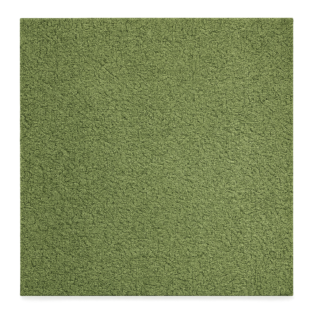  clearance-lines-and-weekly-specials-video product-details Grass-Green-50cm-x-50cm-Carpet-TilesProduct-image-59484